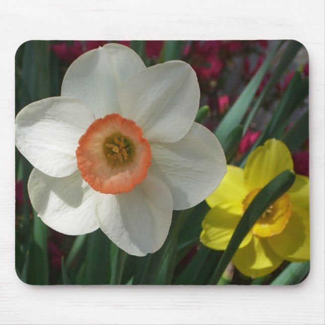 Mousepad Par de Daffodils Flores Rosa e Amarelo (Frente)