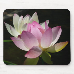 Mousepad Par de Flores de Lotus II