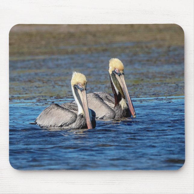 Mousepad Par de Pelicanos (Frente)