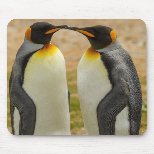 Mousepad Par de pinguins-imperadores, Ilhas Falkland (Frente)
