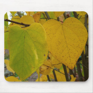 Mousepad Par de Redbud de Queda Deixa Fotografia de outono