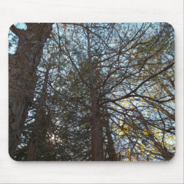 Mousepad Para cima através das filiais