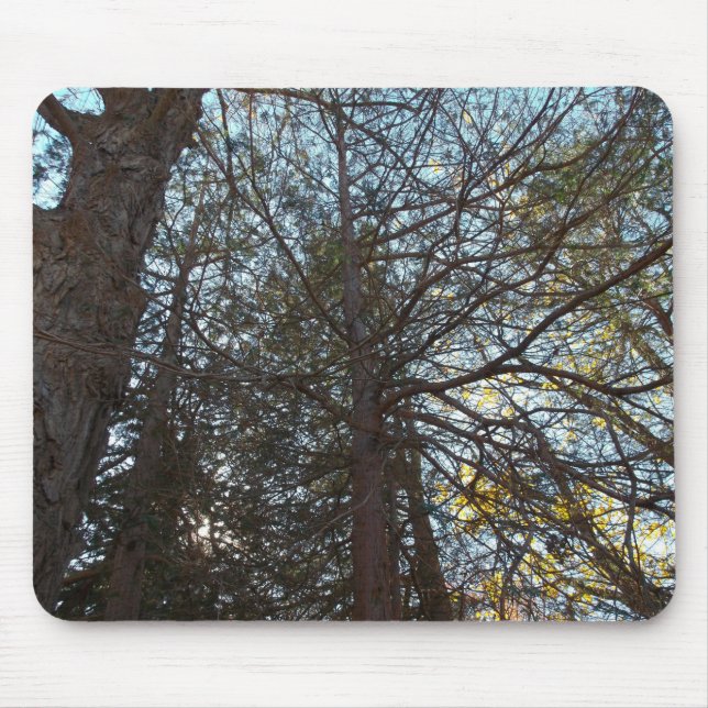 Mousepad Para cima através das filiais (Frente)