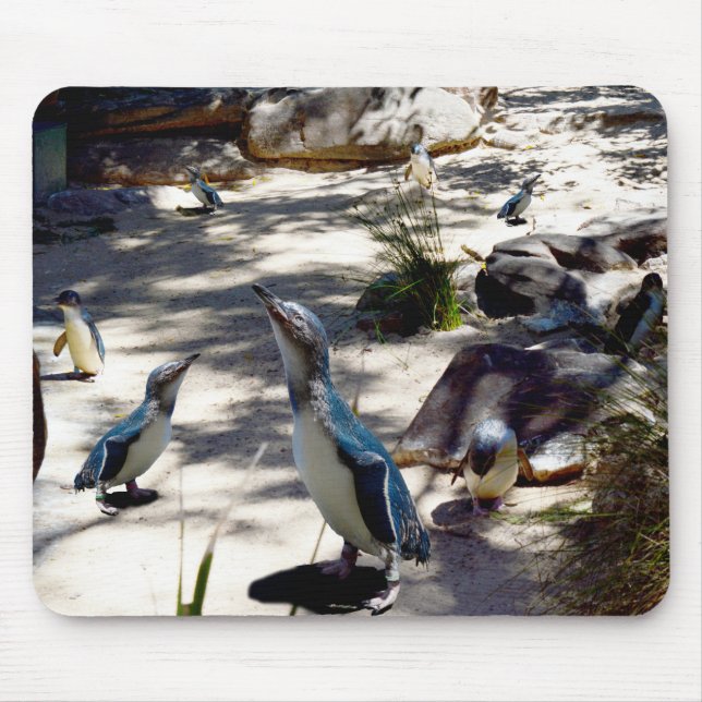 Mousepad Paraíso do Pinguim Fada, (Frente)