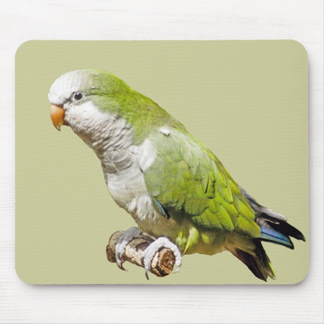 Mousepad Parakeet da monge (Frente)