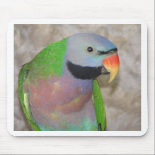 Mousepad Parakeet de Moustached