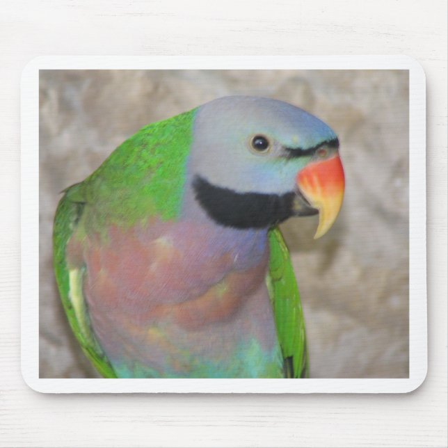 Mousepad Parakeet de Moustached (Frente)