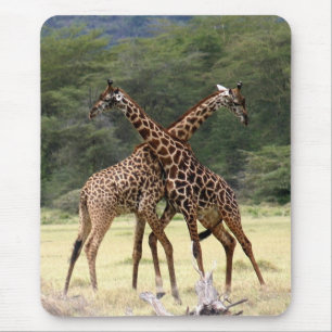 Mousepad Parceiros perfeitos
