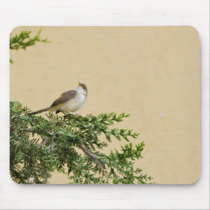 Mousepad Pardal
