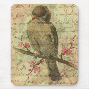 Mousepad Pardal do vintage