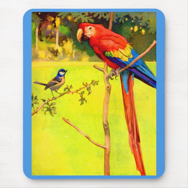 Mousepad pardal e papagaio (Frente)