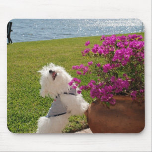 Mousepad Pare e cheire o tapete do rato das flores