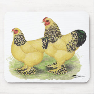 Mousepad Pares amarelos de Brahma