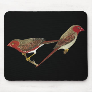 Mousepad Pares carmesins do passarinho (branco-inchado)