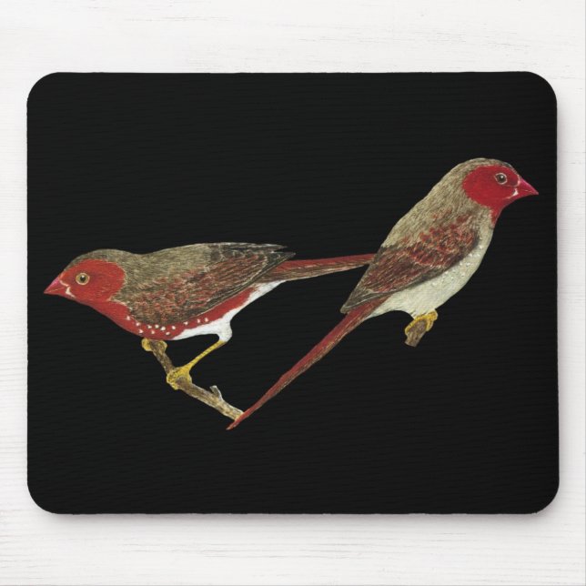 Mousepad Pares carmesins do passarinho (branco-inchado) (Frente)