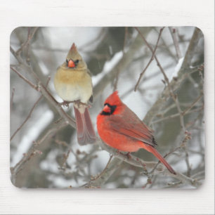 Mousepad Pares de cardeais do norte