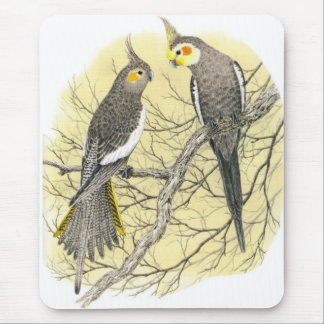 Mousepad Pares do Cockatiel - hollandicus do Nymphicus
