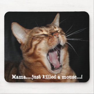 Mousepad Paródia Meme da canção da rainha do gato do canto