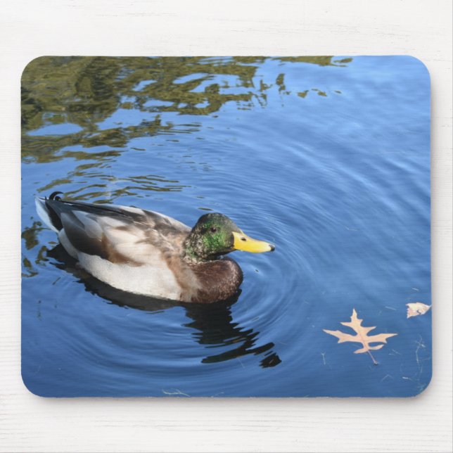 Mousepad Parque Central NYC Conservatório Água Mallard Duck (Frente)