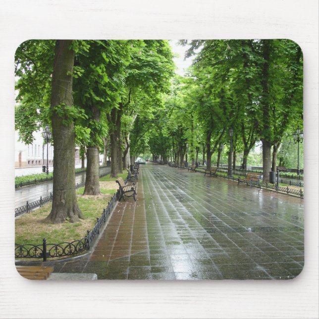 Mousepad Parque de Odessa (3) (Frente)