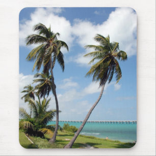 Mousepad Parque estadual de Baía Honda e ponte de sete