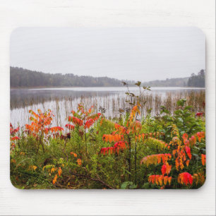 Mousepad Parque Estadual de Itasca Minnesota