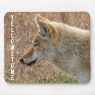 Mousepad Parque Nacional Coyote Lamar Valley Yellowstone