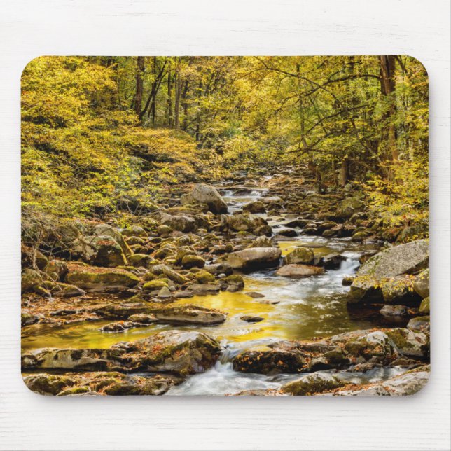Mousepad Parque Nacional das Montanhas do Enfumaçado excele (Frente)