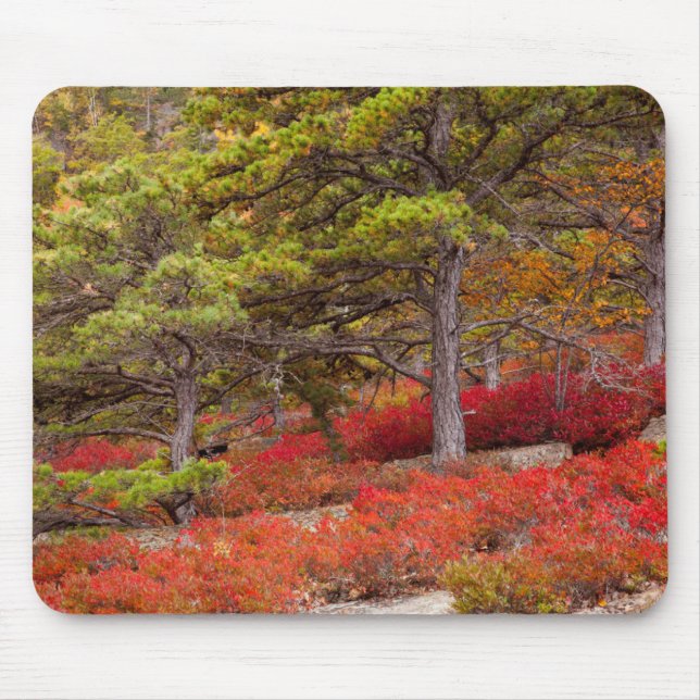 Mousepad Parque Nacional de Acadia, Maine (Frente)