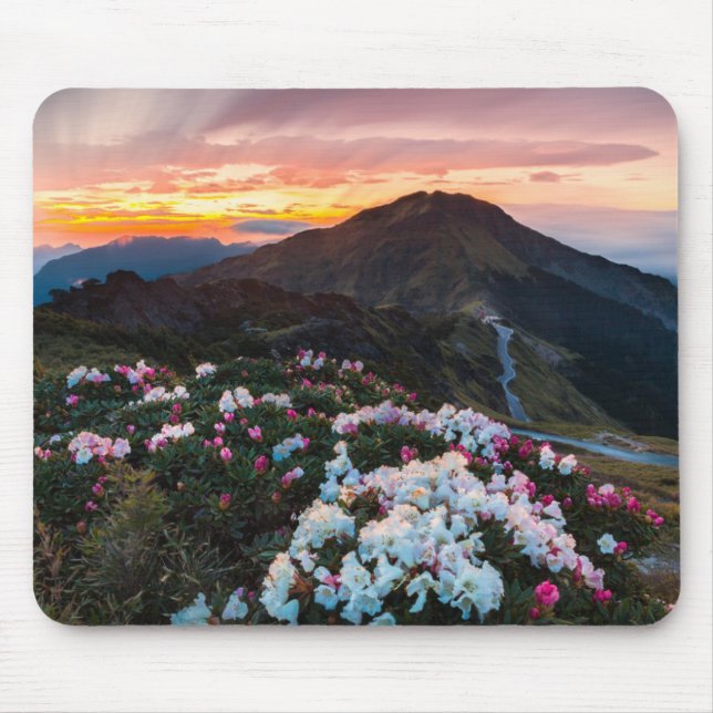Mousepad Parque nacional de florescência do rododendro | (Frente)