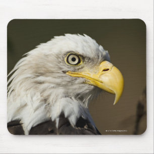 Mousepad Parque nacional de Katmai, Alaska