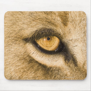 Mousepad Parque nacional de Kruger, província de Limpopo