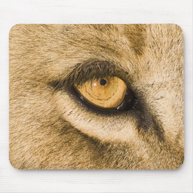 Mousepad Parque Nacional de Kruger, Província de Limpopo (Frente)