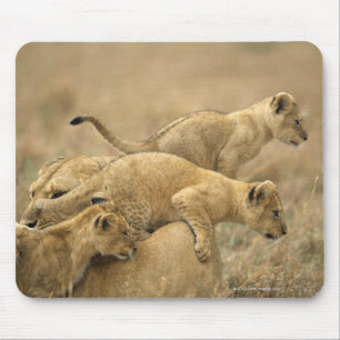 Mousepad Parque nacional de Serengeti, Tanzânia 2