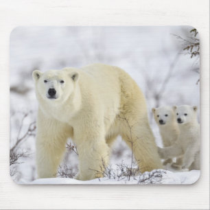 Mousepad Parque nacional de Wapusk, Canadá