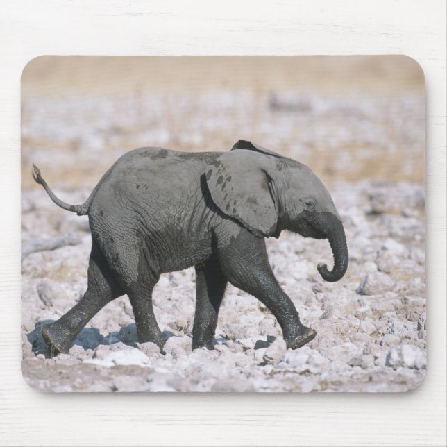 Mousepad Parque Nacional Etosha, Namíbia (Frente)
