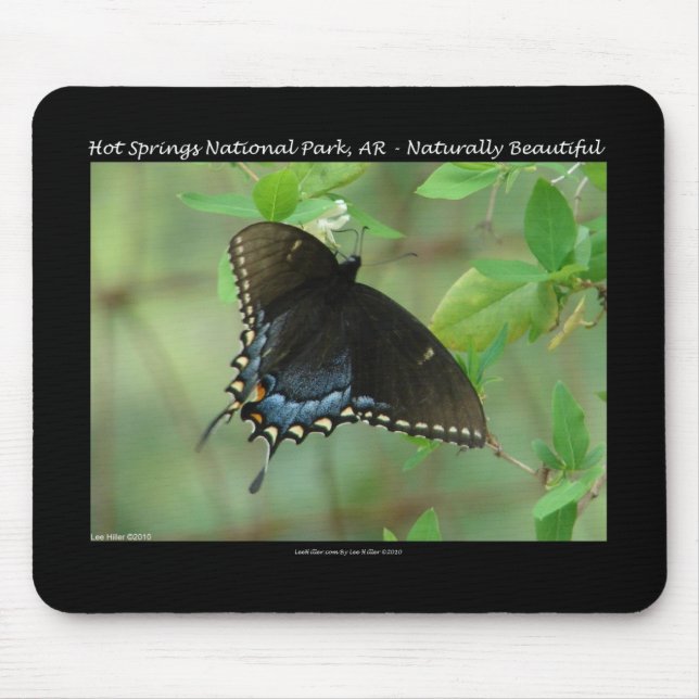 Mousepad Parque Nacional Hot Springs Borboleta Rabo-de-Ando (Frente)