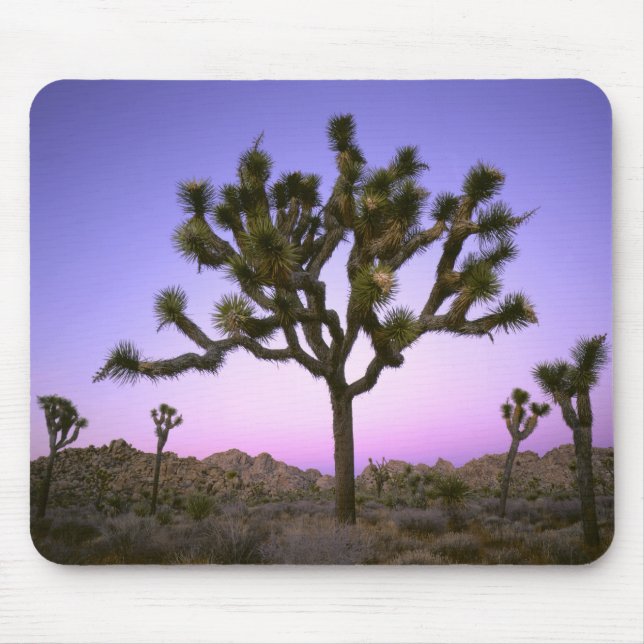 MOUSEPAD PARQUE NACIONAL JOSHUA TREE, CALIFÓRNIA. EUA. (Frente)