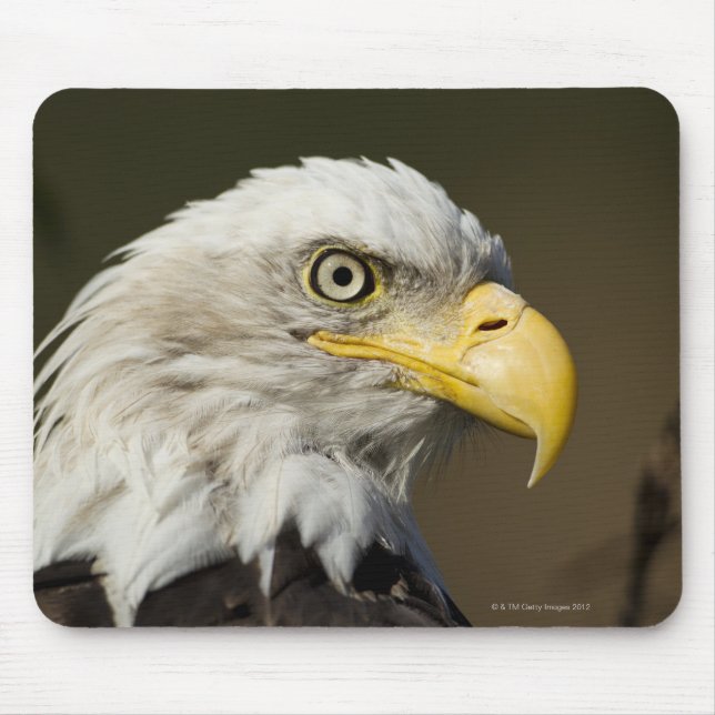 Mousepad Parque Nacional Katmai, Alasca (Frente)