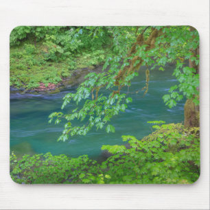 Mousepad Parque Nacional Olímpico Estado de Washington