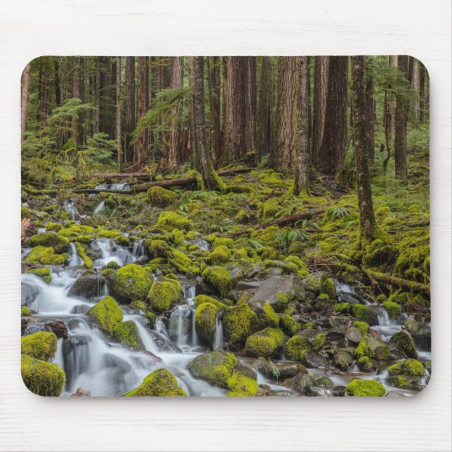 Mousepad Parque Nacional Olímpico, Estado de Washington (Frente)