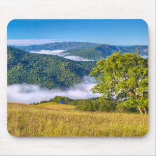 Mousepad Parque Nacional Redwood, Califórnia