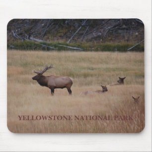 MOUSEPAD PARQUE NACIONAL YELLOWSTONE