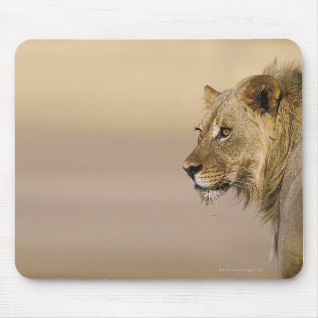 Mousepad Parque Transfronteiriço de Kgalagadi, Cabo Norte (Frente)