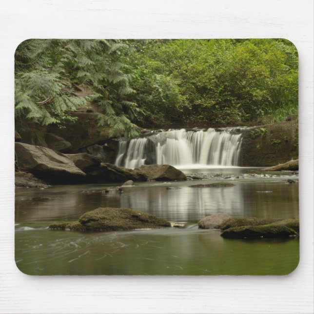 Mousepad Parque Whatcom Falls (Frente)