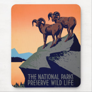 Mousepad Parques nacionais