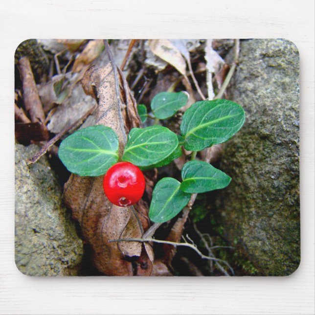 Mousepad Partridge Berry Wildflower (Frente)