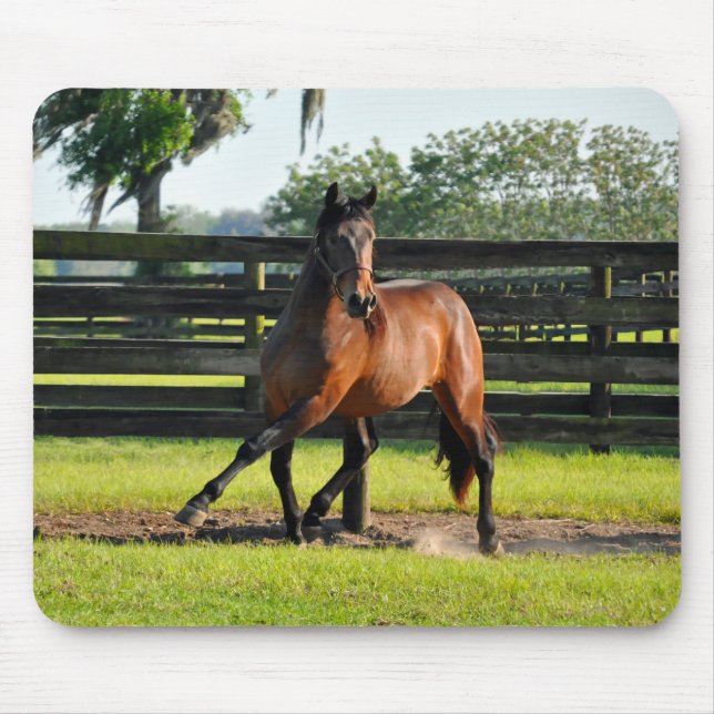 Mousepad Passagem do lado de Don Diego (Frente)