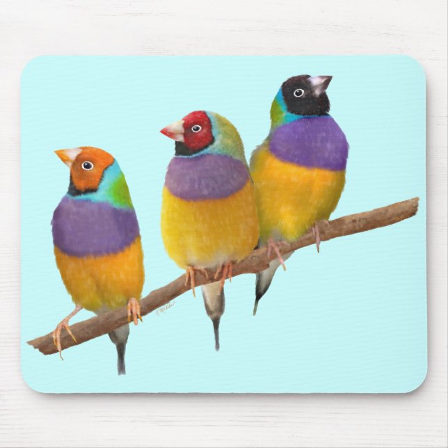 Mousepad Passarinhos coloridos de Gouldian nos Pastels (Frente)