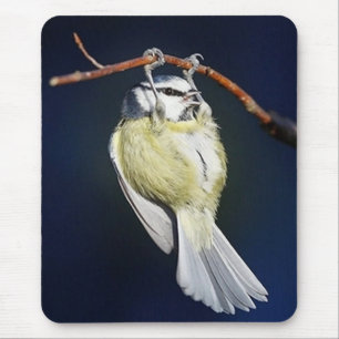 Mousepad Pássaro